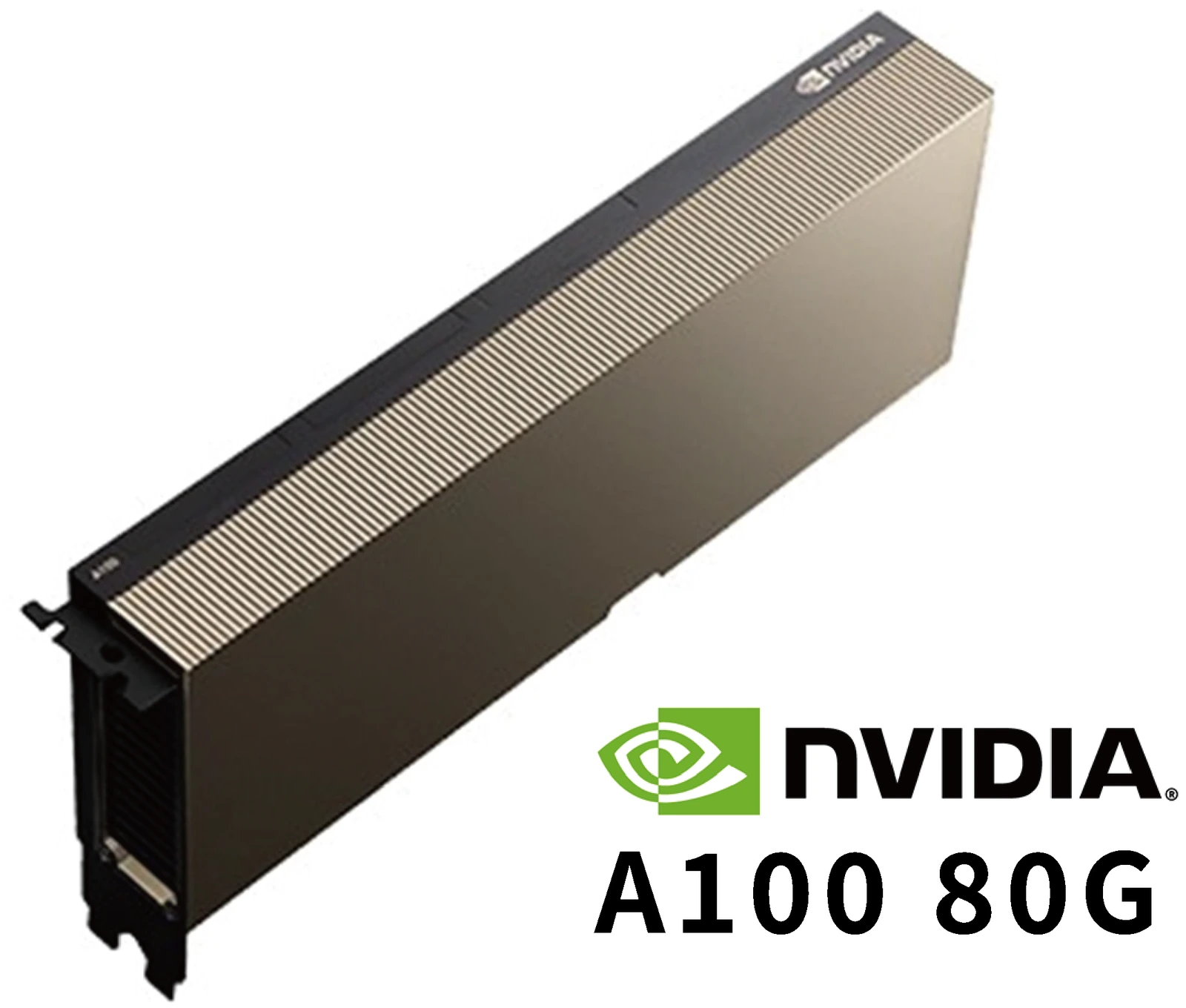 NVIDIA A100 80G